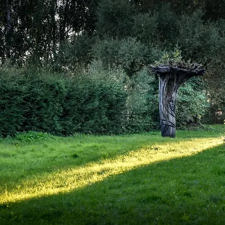 Golland Krzywe (Olecko)