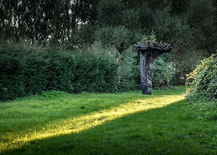 Golland Krzywe (Olecko)